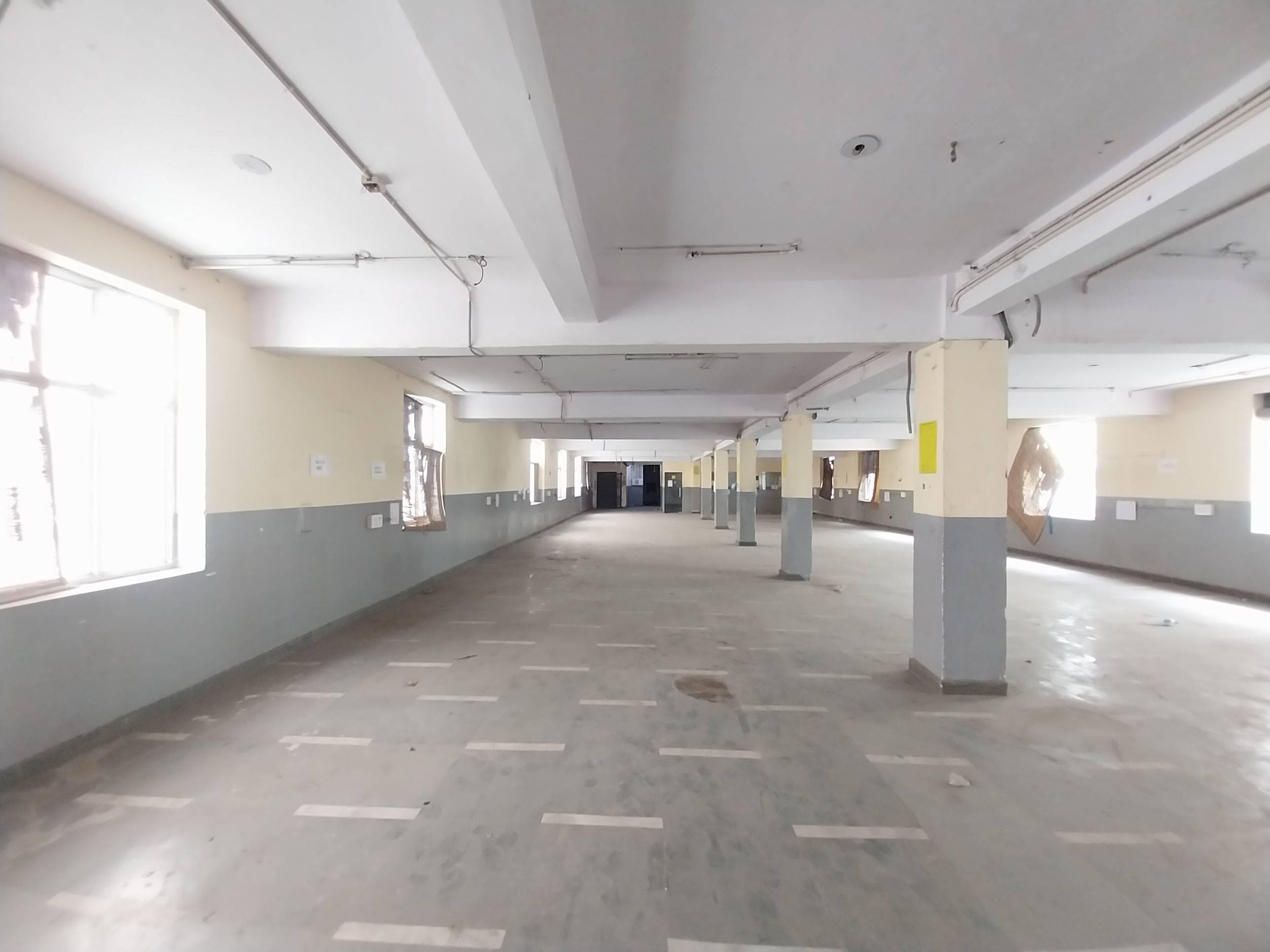 Basement +Gf